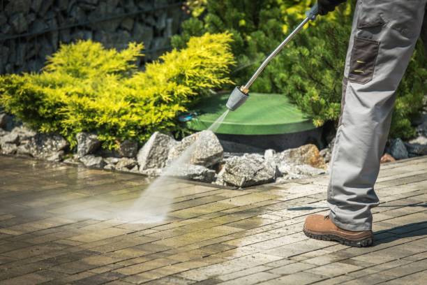 Best Dumpster Area Cleaning  in Citrus Park, AZ