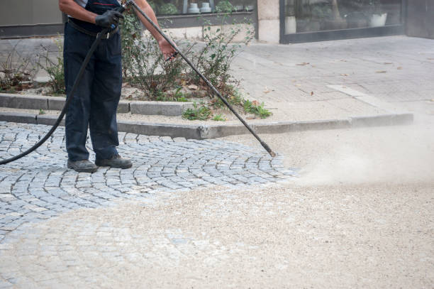 Best Fence Cleaning  in Citrus Park, AZ