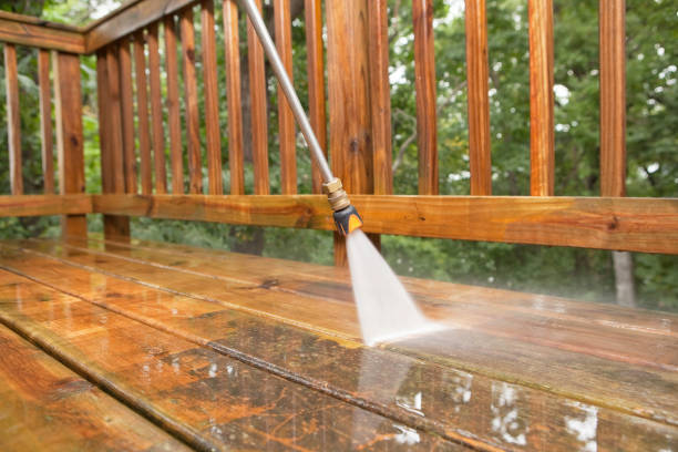 Trusted Citrus Park, AZ Pressure Washing Services Experts